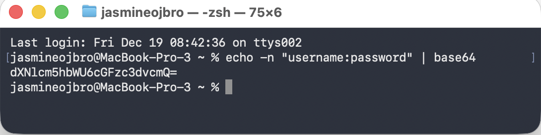 screenshot of typing in the terminal on MAC and geting response