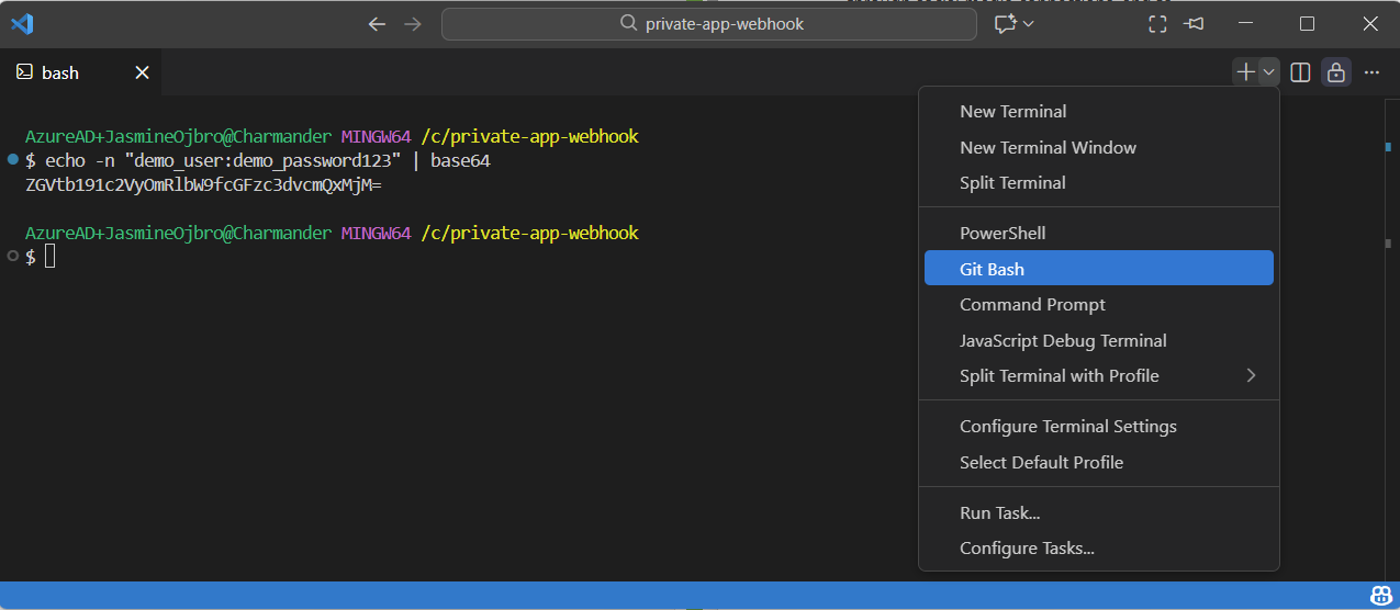 Screenshots from a terminal window through Visual Studio Code on a PC.